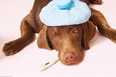 《碧海黑帆》近五年变化对比视频 画面和玩法越来越棒